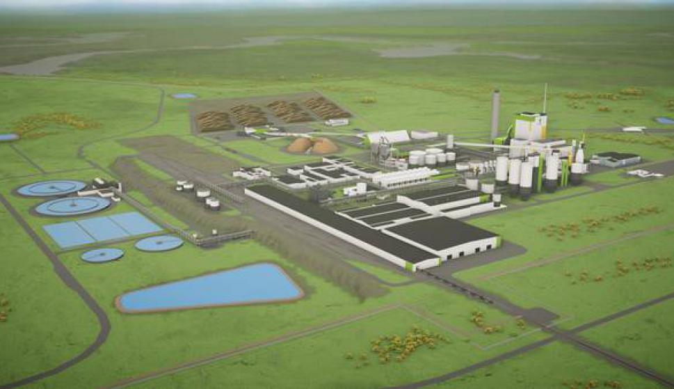 UPM confirmó la segunda planta de celulosa en&nbsp;Uruguay