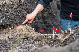Hoy comenzarán a analizar los restos humanos encontrados en el Batallón&nbsp;13