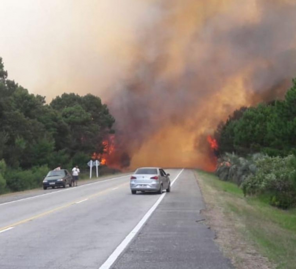 Bomberos luchan contra incendio en Santa&nbsp;Teresa