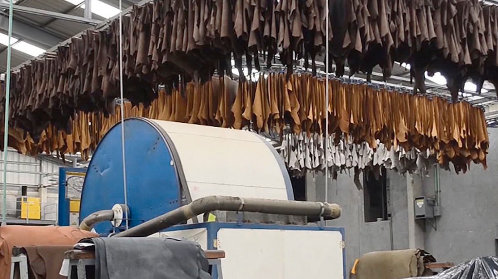 Paycueros envió a seguro de paro al 99% de sus empleados. Son más de&nbsp;600