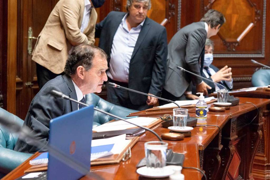 Manini Ríos: «No se quiere dar un cheque en blanco que permita al Ejecutivo establecer cuáles son los&nbsp;delitos»