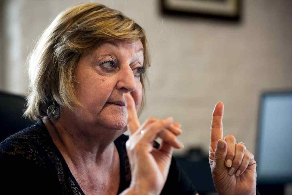 Kechichian: «El Presidente hace un discurso de grieta para no hacer lo que tiene que&nbsp;hacer»